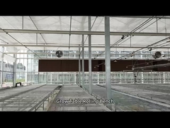 Nhà kính dây lưới Bàn trồng cây lăn để gieo hạt