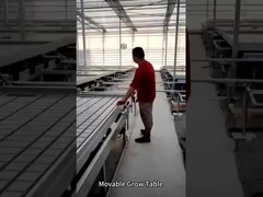 Bàn lăn có thể di chuyển lên xuống và dòng chảy