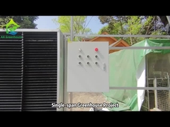 Dự án nhà kính một nhịp hàng đầu của nhà kính AX
