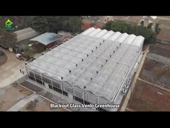 Nhà kính nông nghiệp thương mại Venlo Nhà kính thông gió hàng đầu đa dải