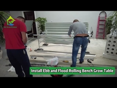 Băng ghế nhà kính Ebb And Flow để gieo hạt phát triển theo chiều dọc