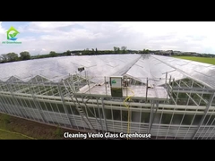 Vệ sinh Nhà kính Kính Venlo