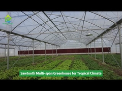 Hợp kim nhôm bền bỉ Bộ xương nhiệt đới Poly Tunnel Film Sawtooth Greenhouse