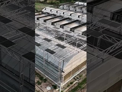 Nhà kính quang điện mặt trời nhiều nhịp thông minh hiện đại Venlo polycarbonate