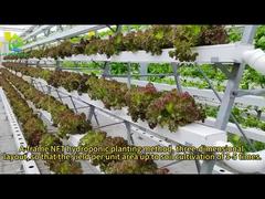 Trồng rau thủy canh không cần đất NFT Dung dịch dinh dưỡng PVC nhiều lớp hình chữ A trồng rau