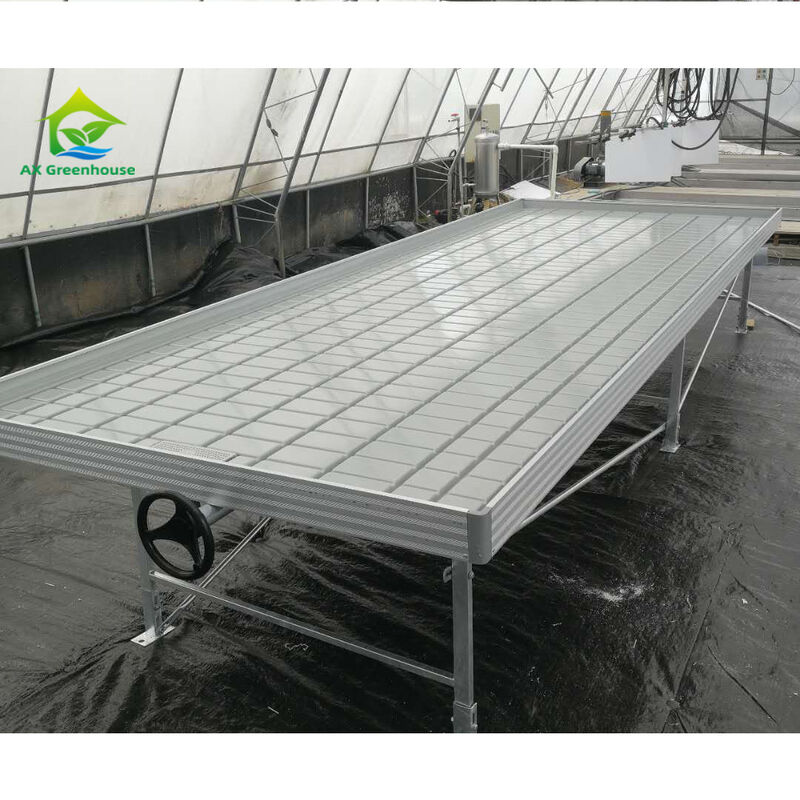 Nông nghiệp không đất Nhà kính trong nhà Thường sử dụng Ebb Grow Table Rolling Bench Cho hạt giống