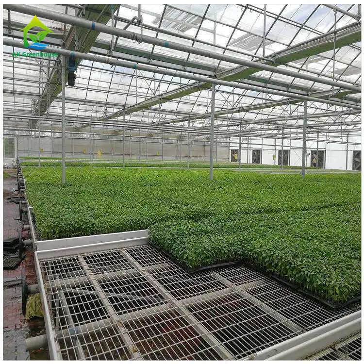Tiết kiệm không gian Dễ lắp đặt Thị trường nhà kính Bàn lưới dây thép nhà kính Bàn lăn nhà kính