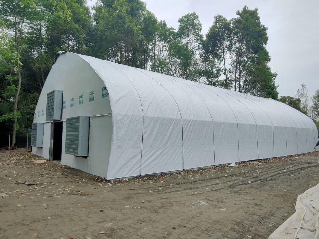 Giá nhà máy ẩm ẩm nhựa phim đường hầm cà chua trồng lều nhà kính cho nông nghiệp