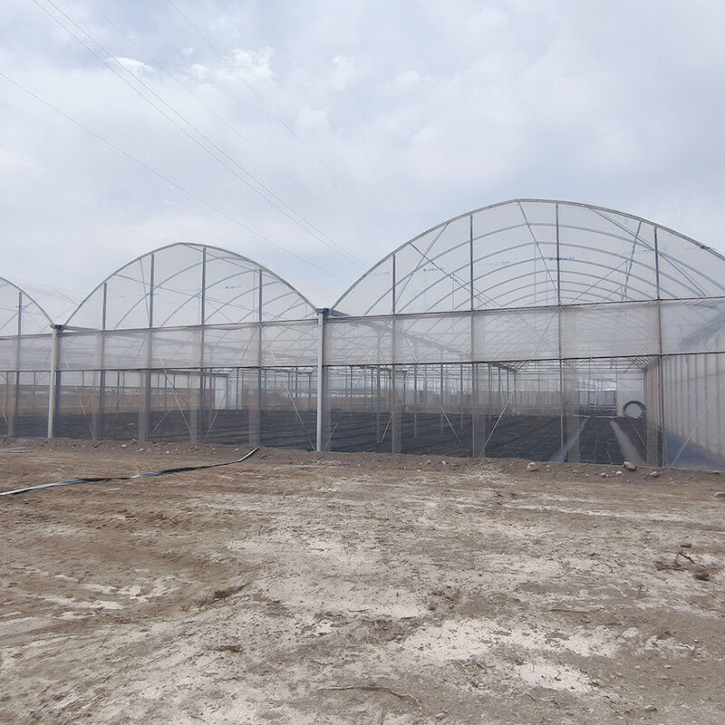 Cấu trúc thép galvanized nóng Multi-Span phim nhựa Custom nhà kính với nhiệt đới top thông gió thiết kế răng cưa
