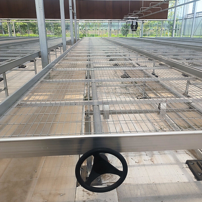 Tiết kiệm không gian Dễ lắp đặt Thị trường nhà kính Bàn lưới dây thép nhà kính Bàn lăn nhà kính