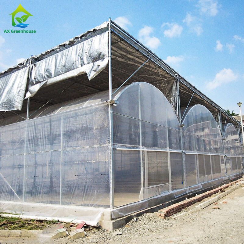 Chất liệu nhựa nhựa dài thọ đắm nóng thép galvanized đa dải nông nghiệp nhà kính cho trái cây