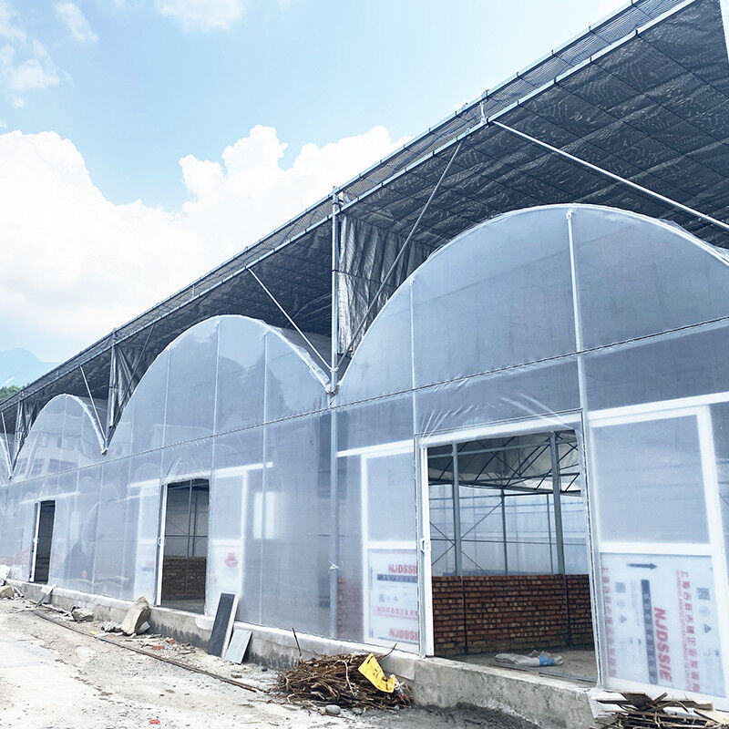 Chất liệu nhựa nhựa dài thọ đắm nóng thép galvanized đa dải nông nghiệp nhà kính cho trái cây