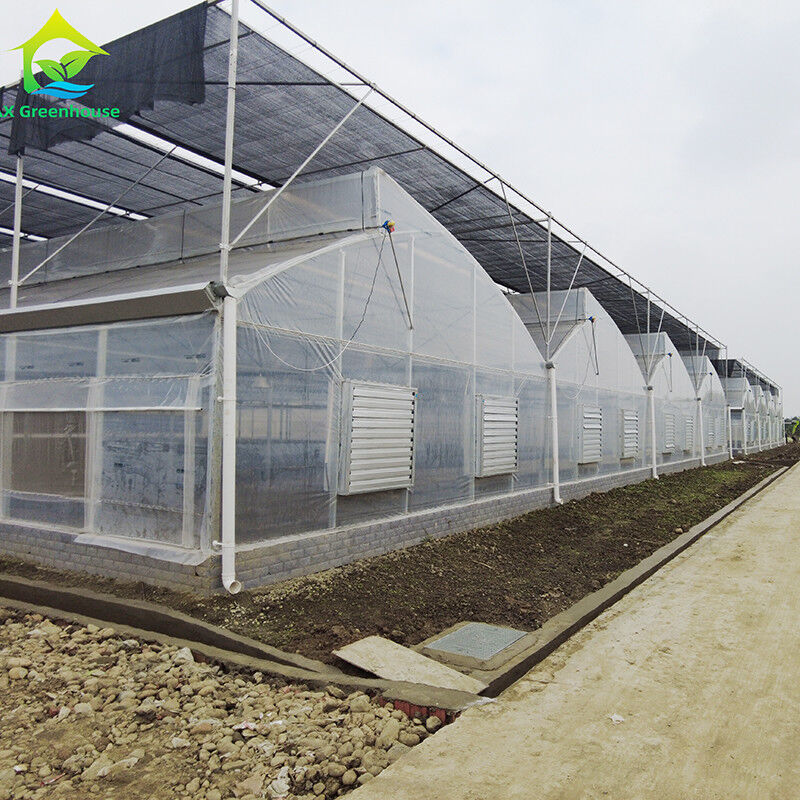 Chất liệu nhựa nhựa dài thọ đắm nóng thép galvanized đa dải nông nghiệp nhà kính cho trái cây
