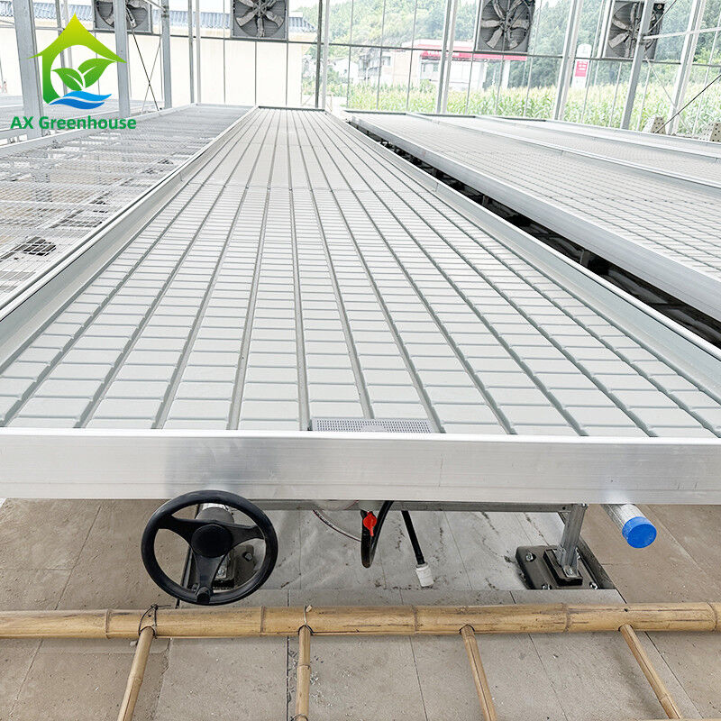 Nhà kính Nông nghiệp không đất thủy canh Ebb Flood Grow Table Seedbed Rolling Bench Cho rau diếp