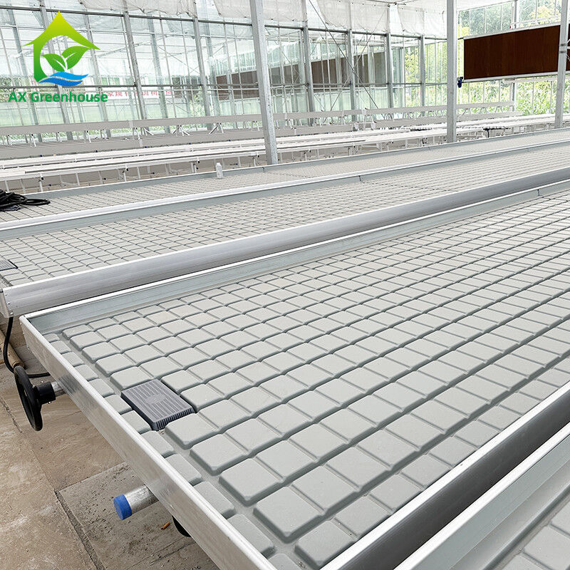 Nhà kính Nông nghiệp không đất thủy canh Ebb Flood Grow Table Seedbed Rolling Bench Cho rau diếp