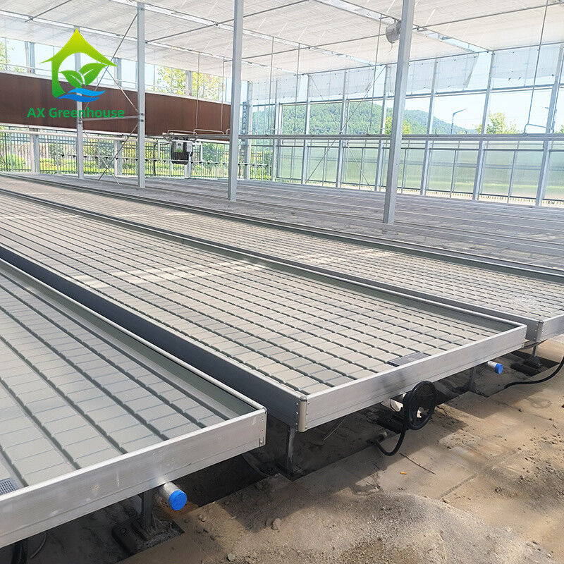 Nhà kính Nông nghiệp không đất thủy canh Ebb Flood Grow Table Seedbed Rolling Bench Cho rau diếp