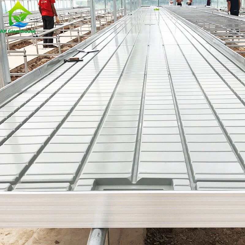 Cây trồng vườn tùy chỉnh kích thước Nhà kính Grow Table Hydroponic Ebb Flood Rolling Bench