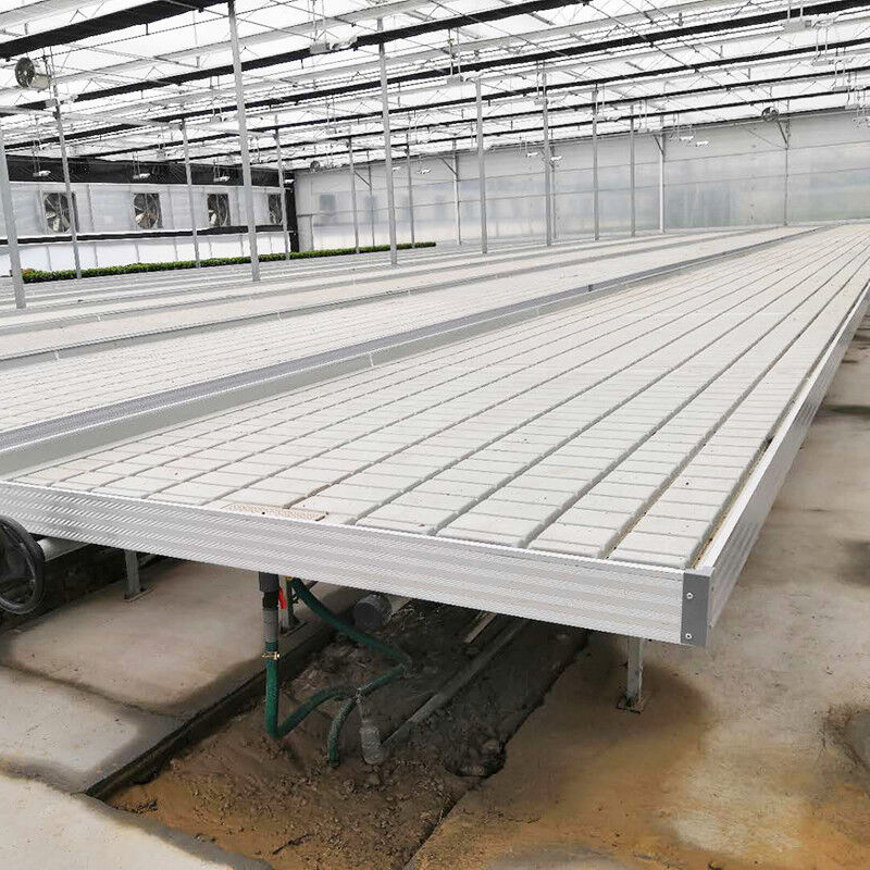 Nhà kính Nông nghiệp không đất thủy canh Ebb Flood Grow Table Seedbed Rolling Bench Cho rau diếp