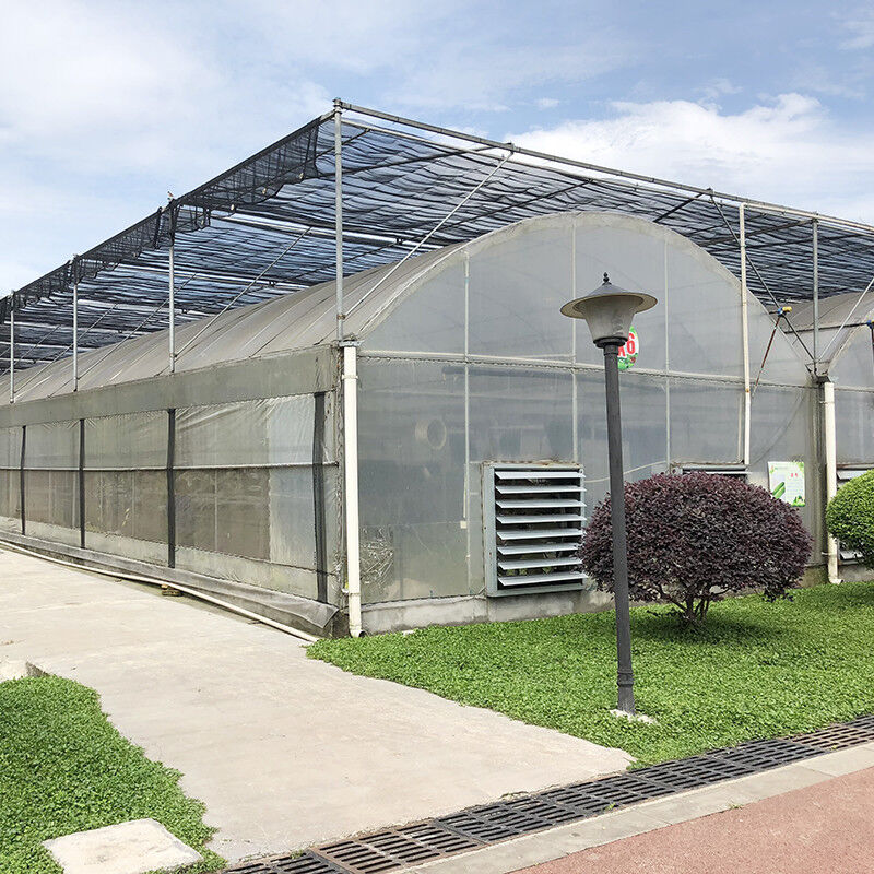 Cấu trúc thép Đường hầm lớn tùy chỉnh đa khoảng cách nhựa trồng quả việt quất nhà kính cho cấu trúc ổn định