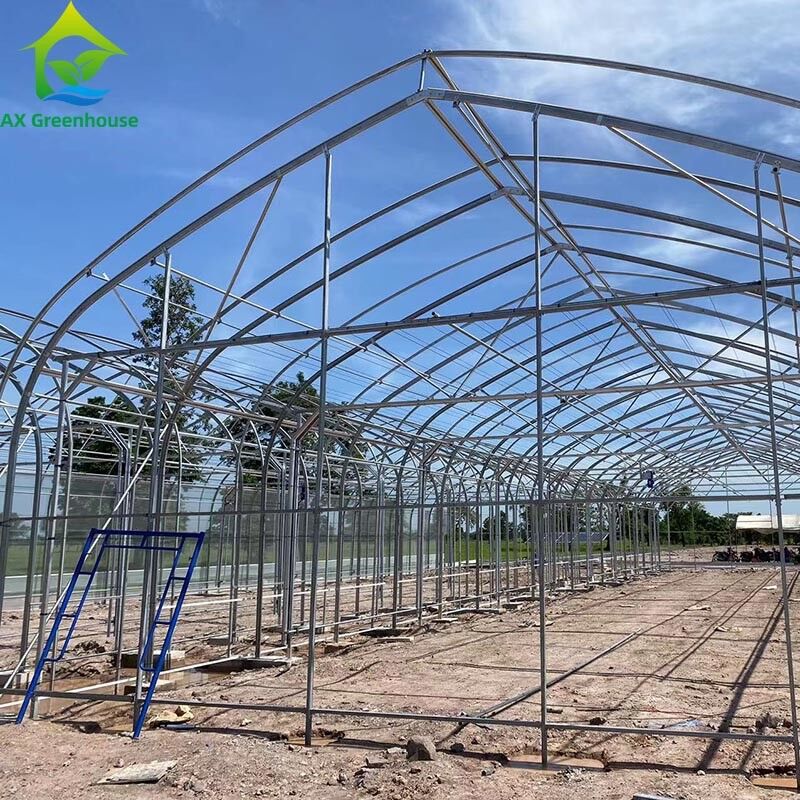 Ưu tiên nông nghiệp trồng trọt ánh sáng mất điện bóng tối Single-span phim nhà kính lều cho nông nghiệp thương mại