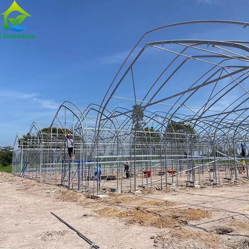Ưu tiên nông nghiệp trồng trọt ánh sáng mất điện bóng tối Single-span phim nhà kính lều cho nông nghiệp thương mại