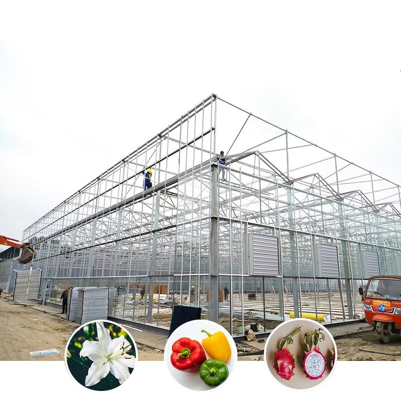 Multi Span Venlo Style Glass Agricultural Greenhouse có hình dạng mái nhà tam giác và thông gió bên trên để thông gió