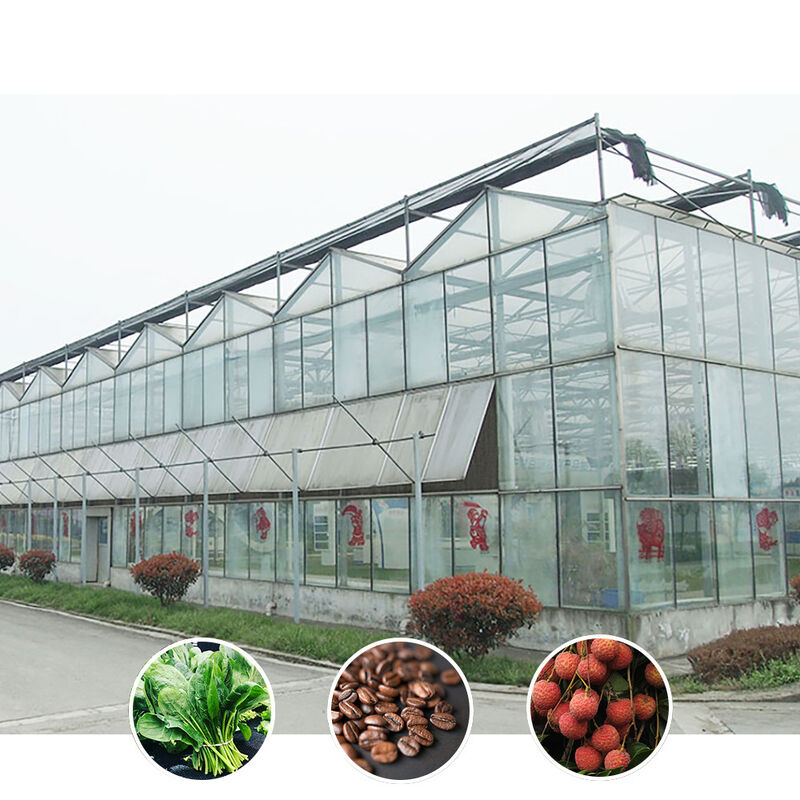 Giải pháp nông nghiệp mọi thời tiết Cấu trúc ổn định Nhà kính với thép kẽm nóng và thủy tinh thương mại