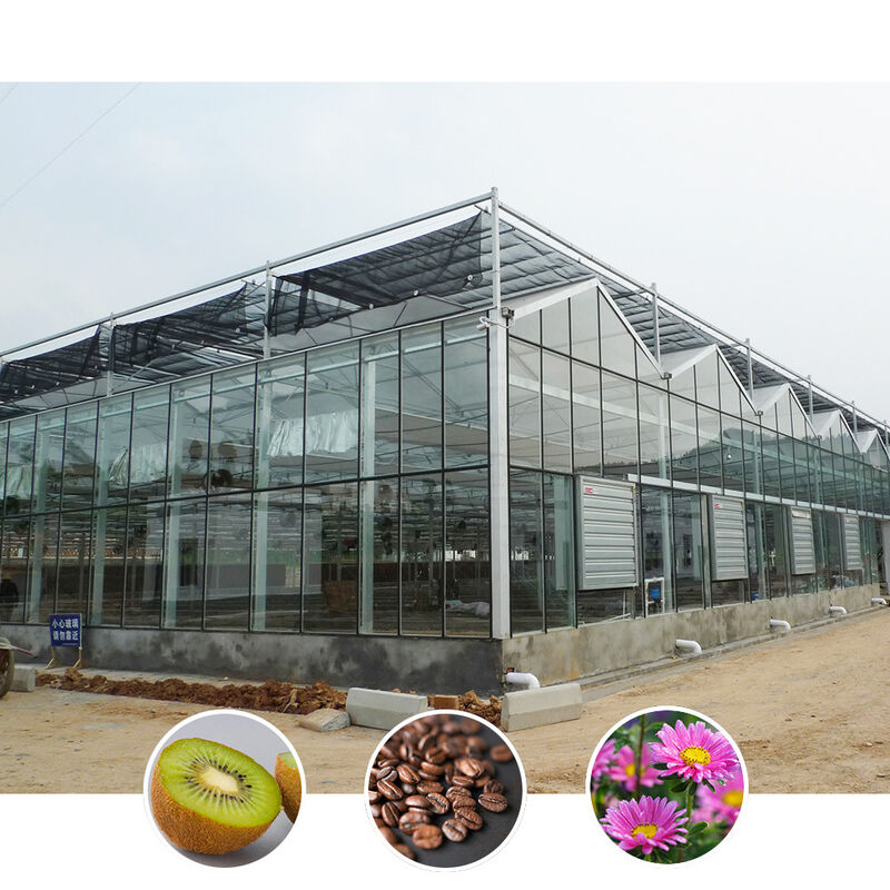 Multi Span Venlo Style Glass Agricultural Greenhouse có hình dạng mái nhà tam giác và thông gió bên trên để thông gió