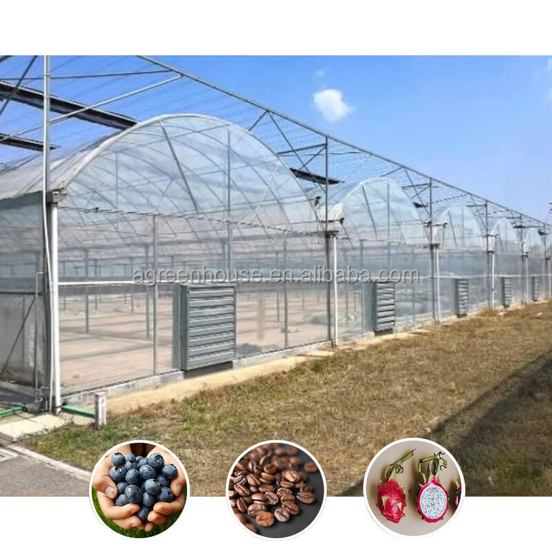 Nhà kính đa đường ống bền nhiều chiều dài Chất liệu thép hạng nặng chống gió và tuyết