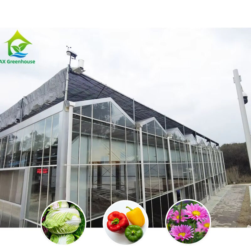 Multi Span Venlo Style Glass Agricultural Greenhouse có hình dạng mái nhà tam giác và thông gió bên trên để thông gió