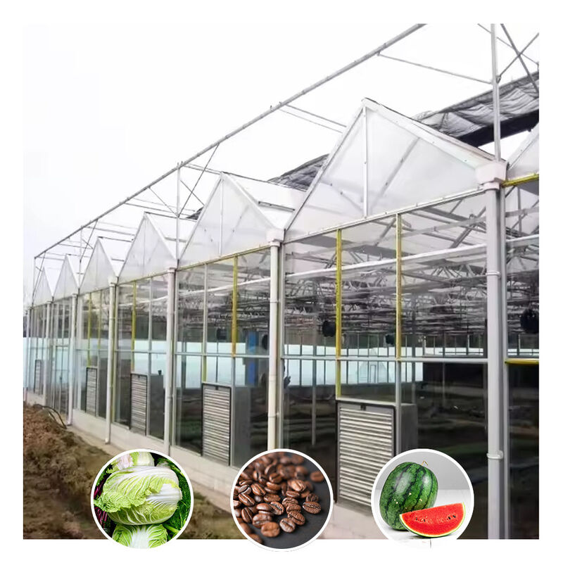 Venlo loại galvanized đường hầm lớn thủy tinh nông nghiệp nhà kính cho hoa