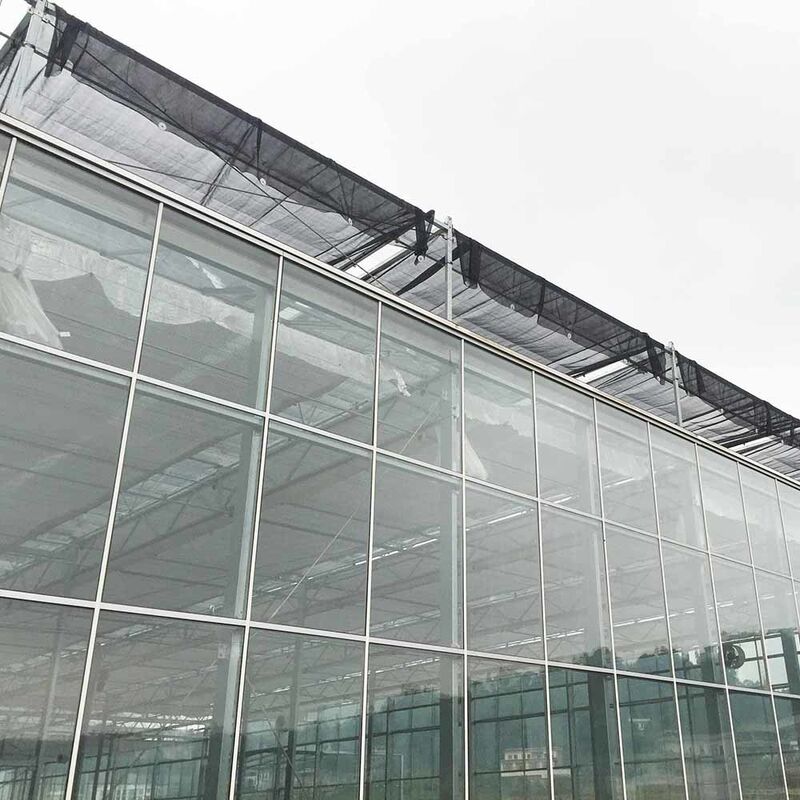 Multi Span Venlo Style Glass Agricultural Greenhouse có hình dạng mái nhà tam giác và thông gió bên trên để thông gió