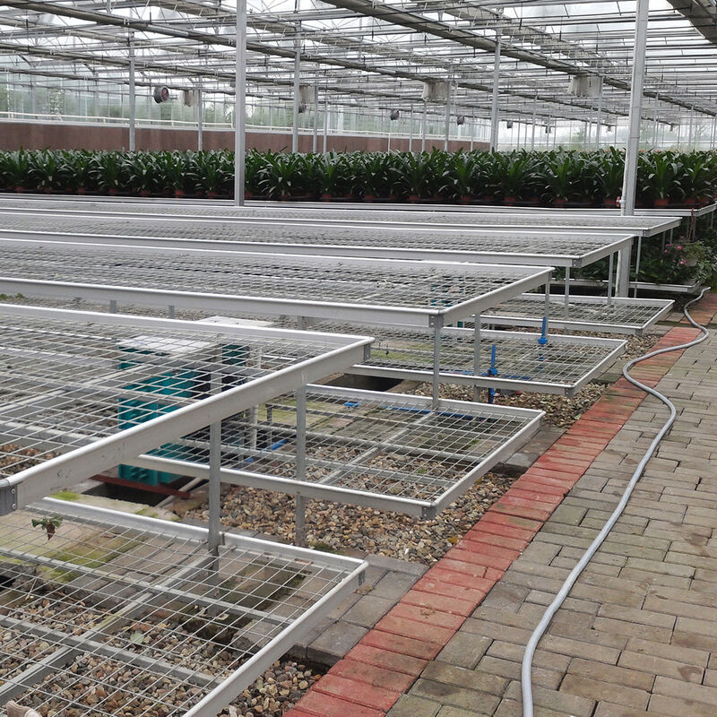 Tiết kiệm không gian Dễ lắp đặt Thị trường nhà kính Bàn lưới dây thép nhà kính Bàn lăn nhà kính