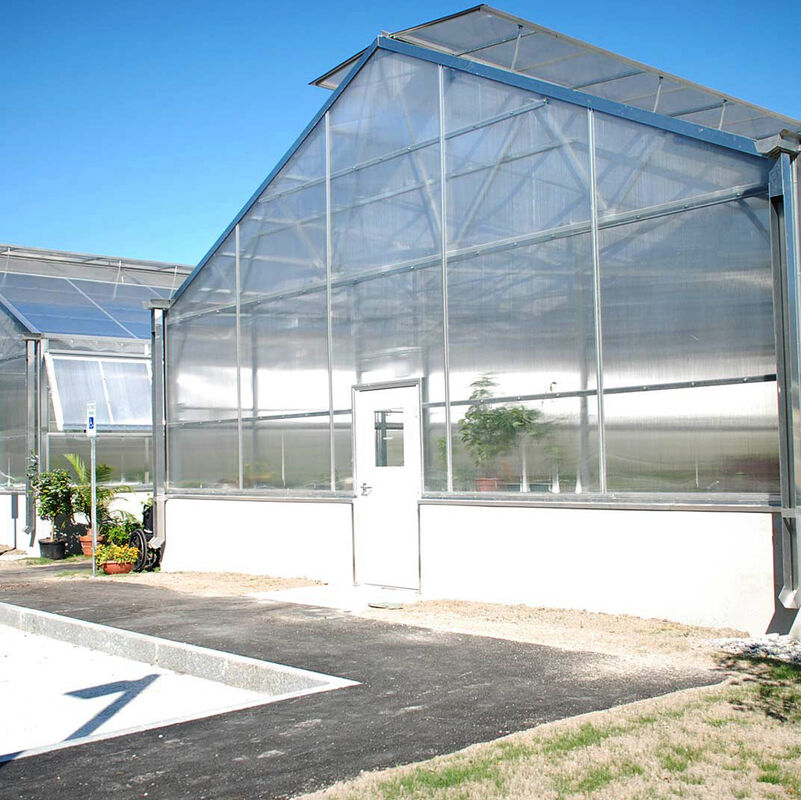 Nhà kính polycarbonate đa chiều đa năng Ưu điểm cho rau củ Cây trồng hoa Nông trại sân sau