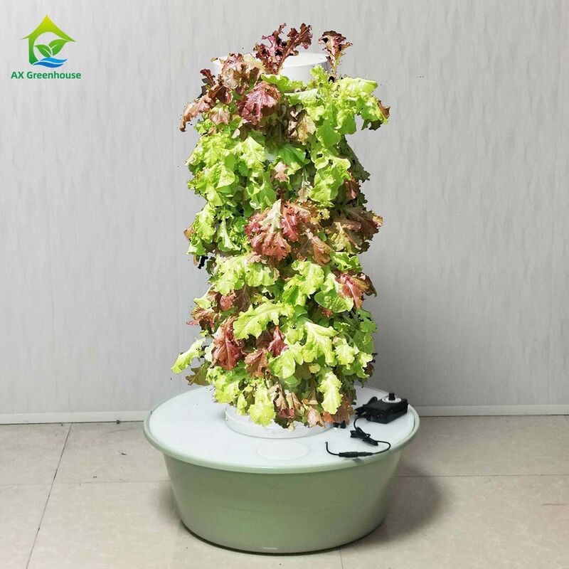 5 lỗ dọc mỗi lớp Tháp thủy sản hoa nhiều lớp tùy chỉnh cho rau diếp