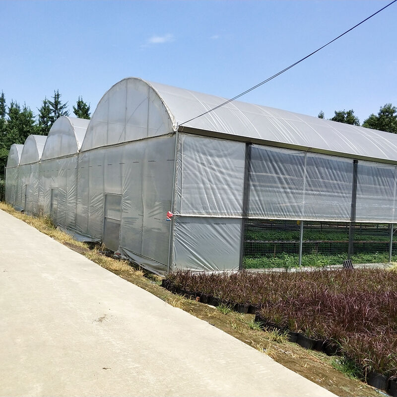 Nhà kính đa đường ống bền nhiều chiều dài Chất liệu thép hạng nặng chống gió và tuyết