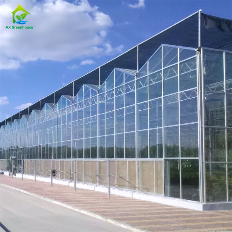 Thiết bị trồng dâu tây rau trong nhà kính polycarbonate kính bền - Bộ dụng cụ nhà kính tất cả trong một