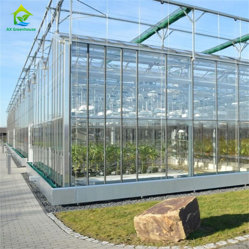 Thiết bị trồng dâu tây rau trong nhà kính polycarbonate kính bền - Bộ dụng cụ nhà kính tất cả trong một