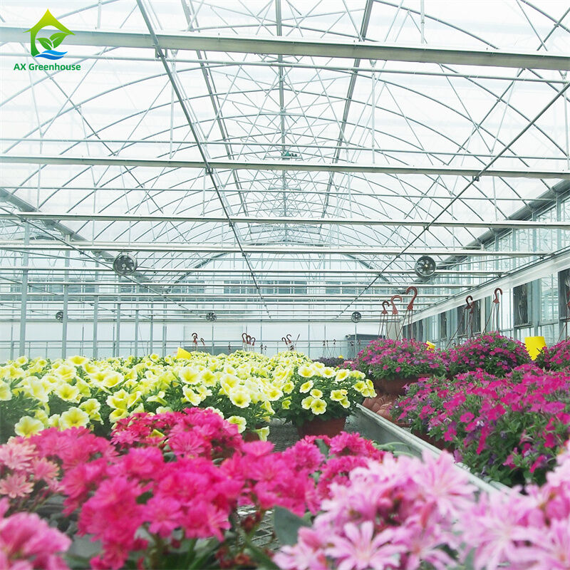 Nhà kính kính cường lực thông minh trong suốt Nhà xanh lớn Đa nhịp Ống thép mạ kẽm nhúng nóng Nhà kính nông nghiệp bằng kính để trồng hoa