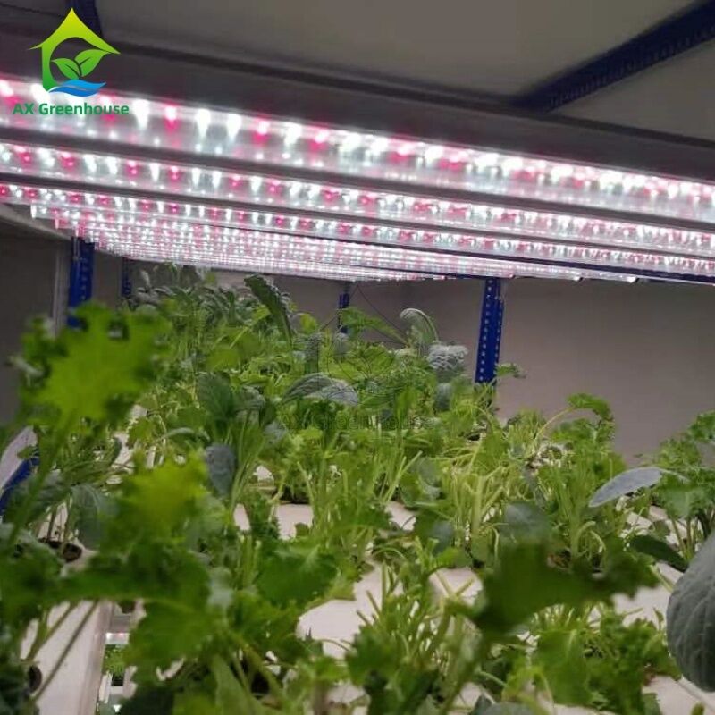 Hệ thống trồng thủy sản NFT dọc nhiều lớp tự động với đèn LED tích hợp cho việc trồng không đất