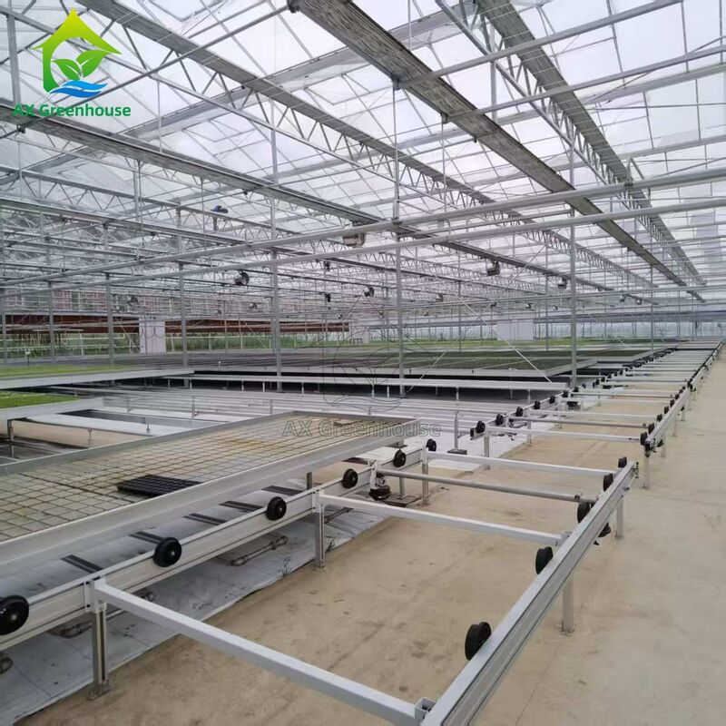 Căn giường gieo hạt dựa trên hệ thống hậu cần tùy chỉnh dựa trên đường ray có thể điều chỉnh Ebb và dòng chảy bàn để trồng cây gieo trong nhà kính