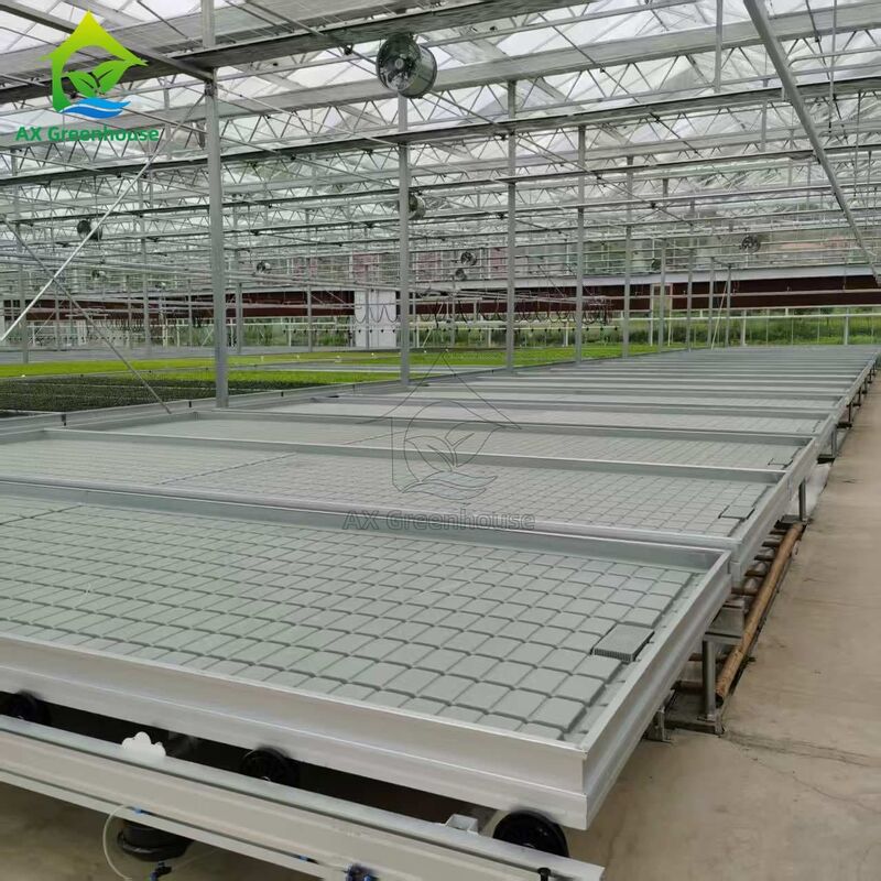 Căn giường gieo hạt dựa trên hệ thống hậu cần tùy chỉnh dựa trên đường ray có thể điều chỉnh Ebb và dòng chảy bàn để trồng cây gieo trong nhà kính