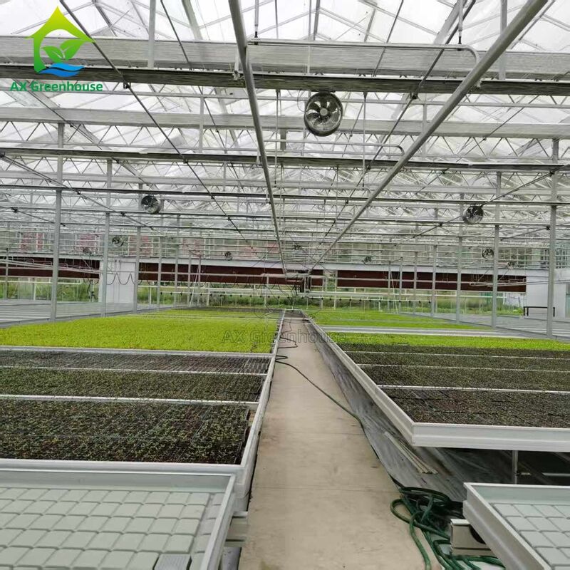 Căn giường gieo hạt dựa trên hệ thống hậu cần tùy chỉnh dựa trên đường ray có thể điều chỉnh Ebb và dòng chảy bàn để trồng cây gieo trong nhà kính