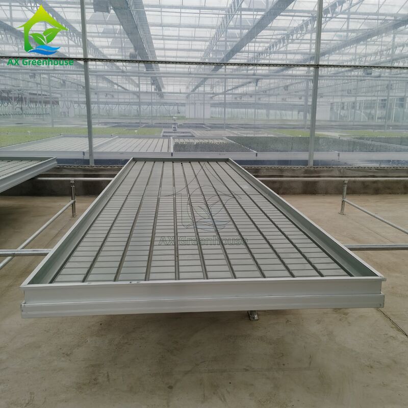 Căn giường gieo hạt dựa trên hệ thống hậu cần tùy chỉnh dựa trên đường ray có thể điều chỉnh Ebb và dòng chảy bàn để trồng cây gieo trong nhà kính