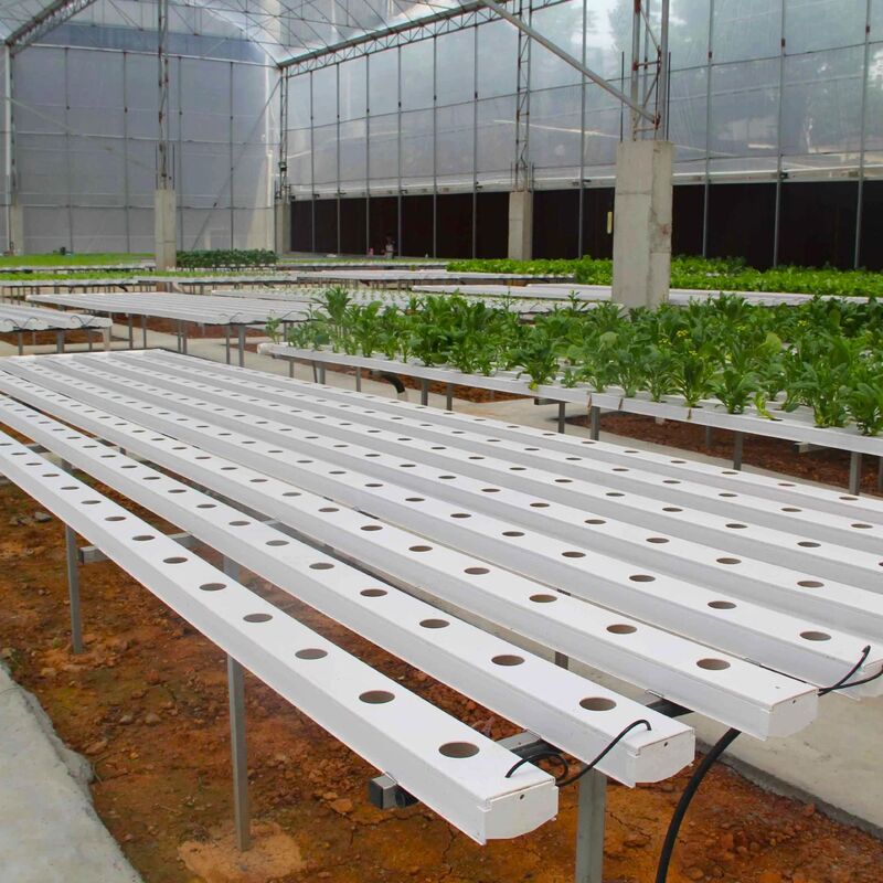 Hệ thống hầm thủy sản PVC NFT cấp thực phẩm với chất ức chế tia cực tím và kích thước tùy chỉnh cho nhà kính thương mại