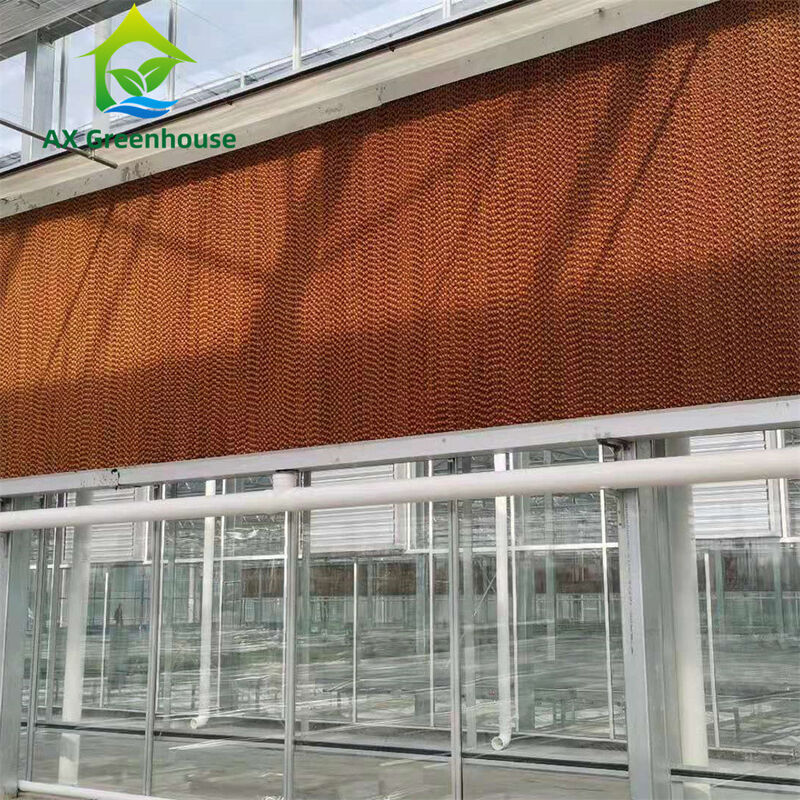 Nhà kính thủy tinh Venlo thương mại đa chiều với khung thép mạ nóng và khuôn mái tam giác
