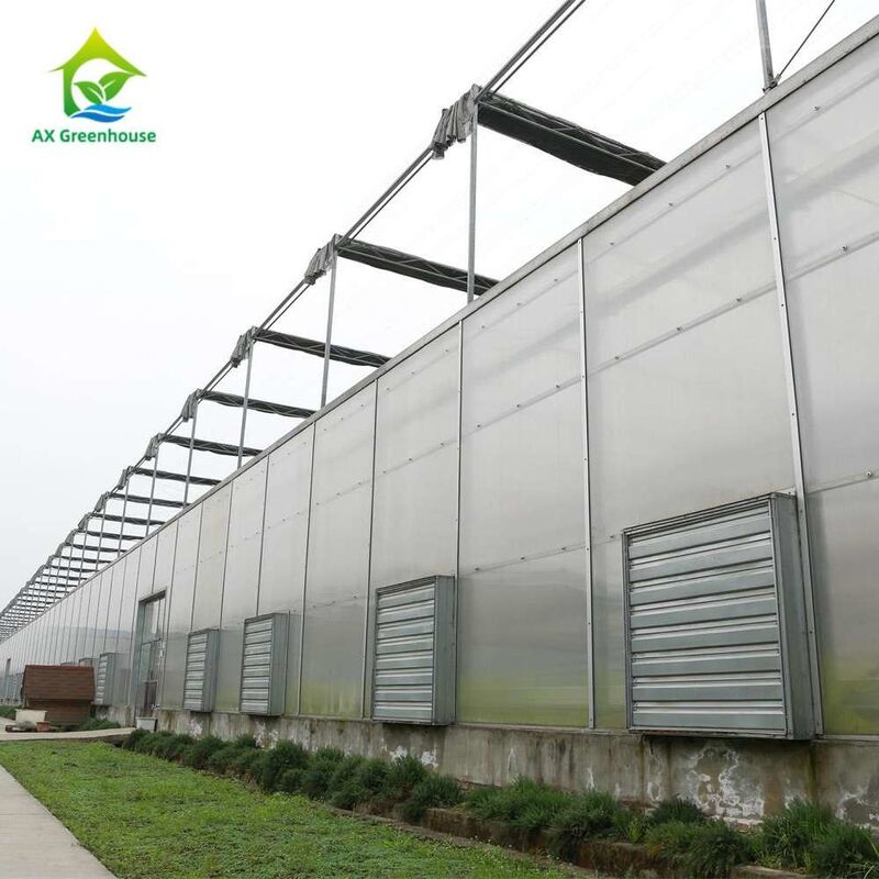 Cây trồng Single Span Polycarbonate PC Bảng nhà kính với cấu trúc ổn định và dễ dàng lắp ráp