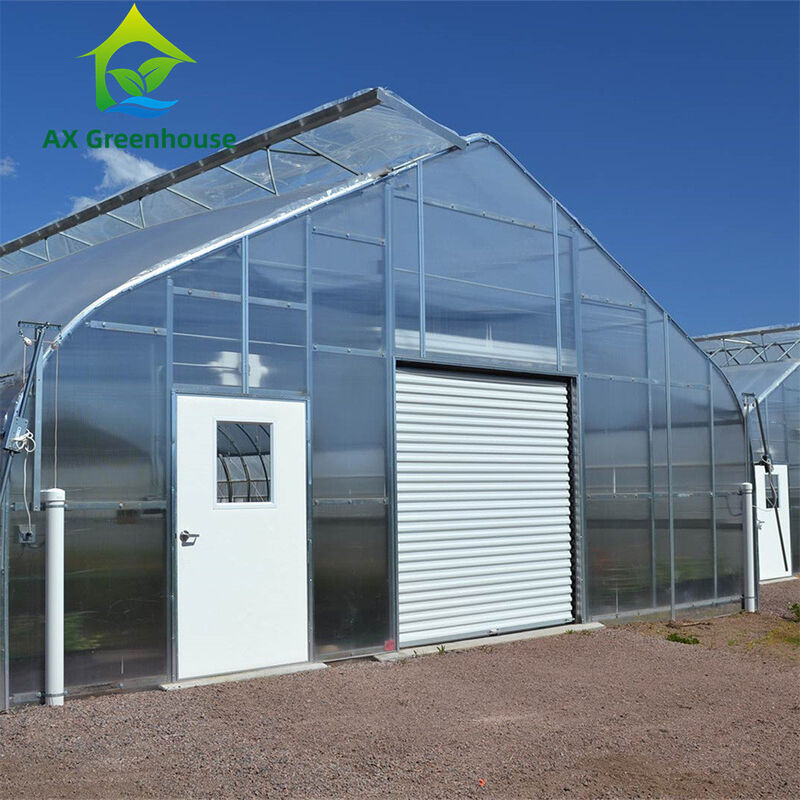 Nhà kính polycarbonate đa chiều đa năng Ưu điểm cho rau củ Cây trồng hoa Nông trại sân sau