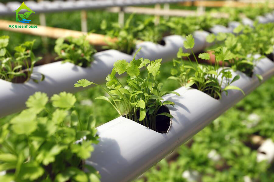 Không đất nông nghiệp trong nhà trồng dâu tây PVC ống cho hệ thống NFT Hydroponics For Sale